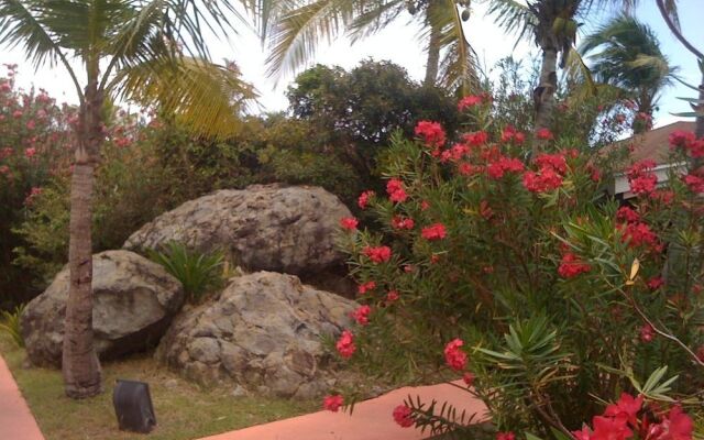 Captain Olivers Resort & Marina