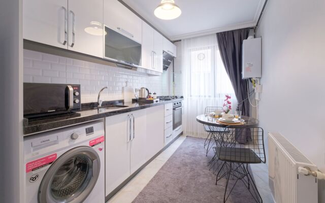 Stunning Gorgeous 2 BR near Golden Horn