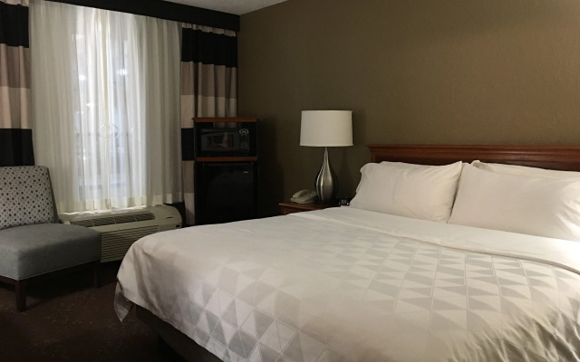 Holiday Inn Alexandria by IHG