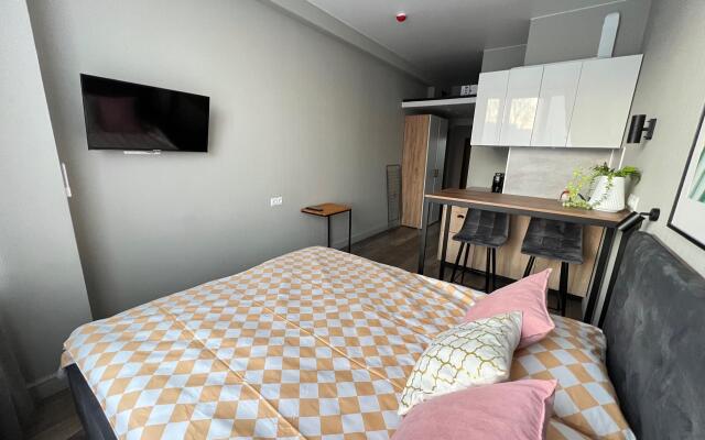 BestFlat24 on Sheremetyevo street 85c2