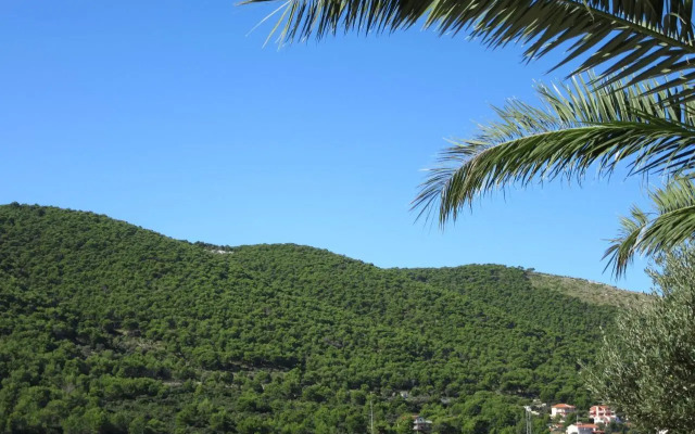 Apartmani Jasminka