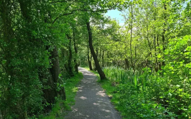 Borkum Ideal 71 A Comfortable Holiday Residence