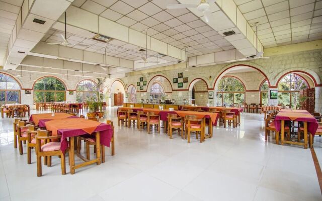 Jungle King Resort