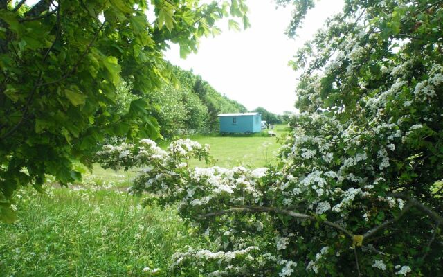 Highfield Farm