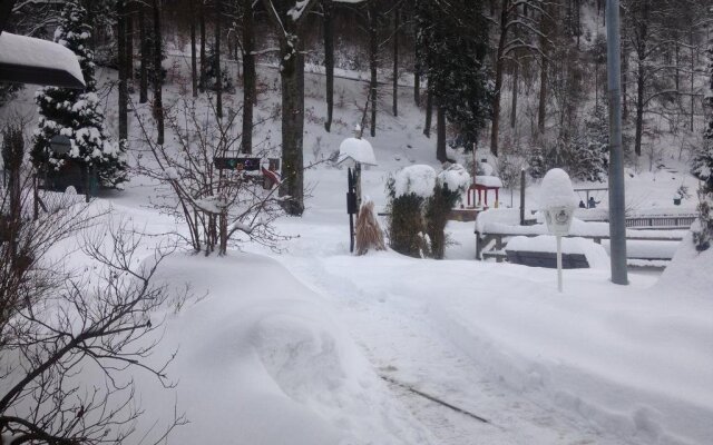 Pension & Apartments Am Bergsee