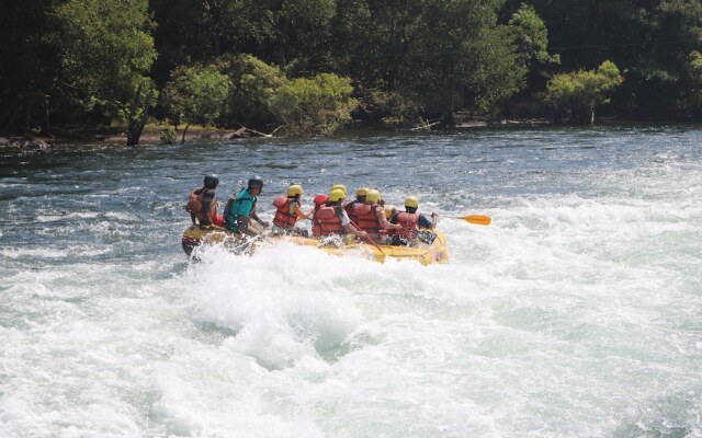Jungle Nest Homestay