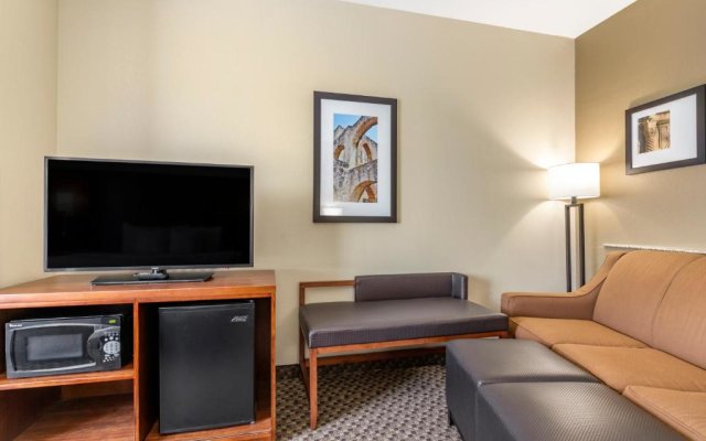 Comfort Suites Medical Center near Six Flags