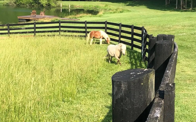 Willow Bend Farm