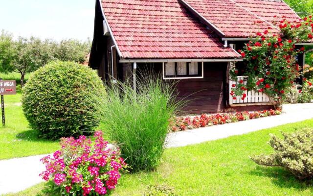 Wooden house Nela