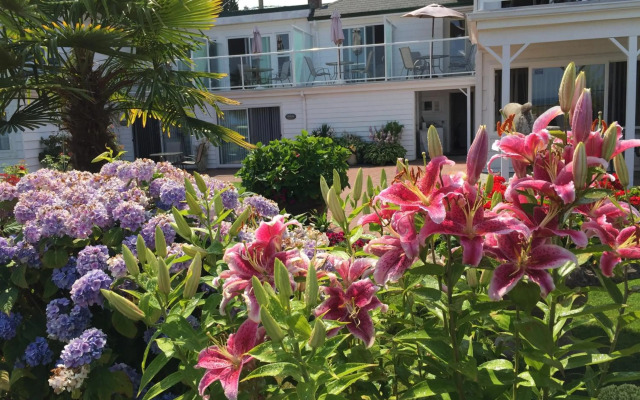 Buena Vista by the Sea