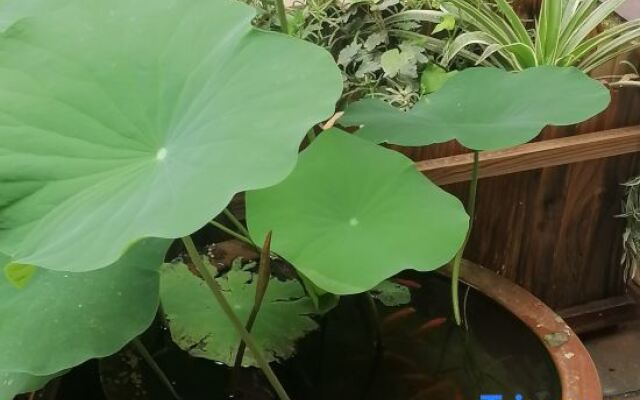 Yuping Yuanshan Host Inn