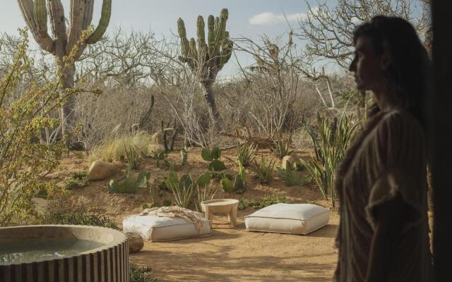 Paradero Todos Santos - Exclusive Experiences