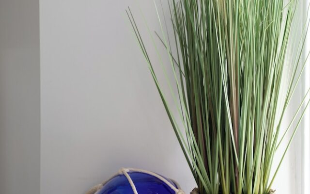 Park View Rooms & Relaxation