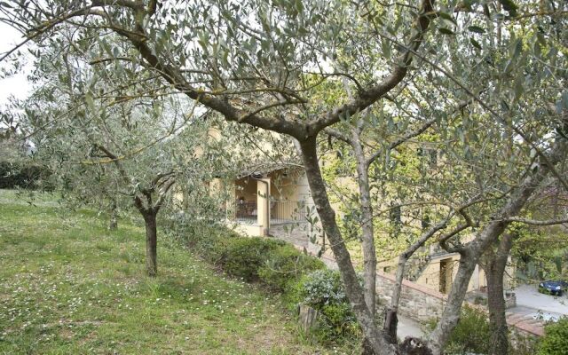 Villa Luce Tuscany