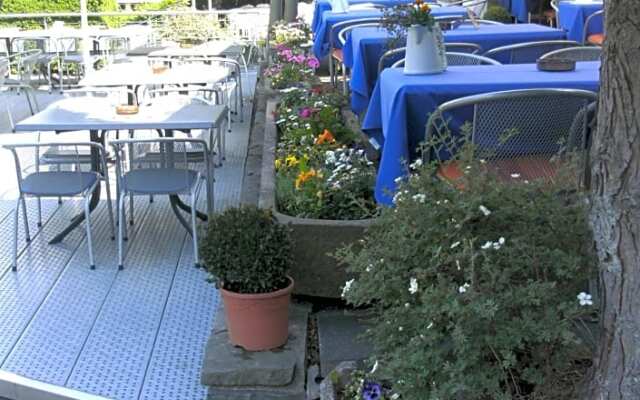 Waldhotel Tropfsteinhöhle