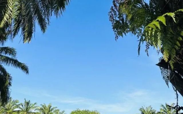 Together 2 Holiday Resort