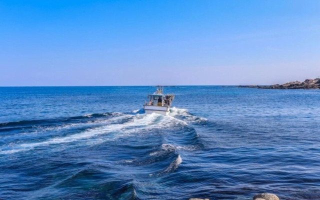 Pohang Sagyejeol Guryongpo Pension