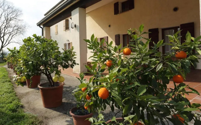 Albergo Volpara