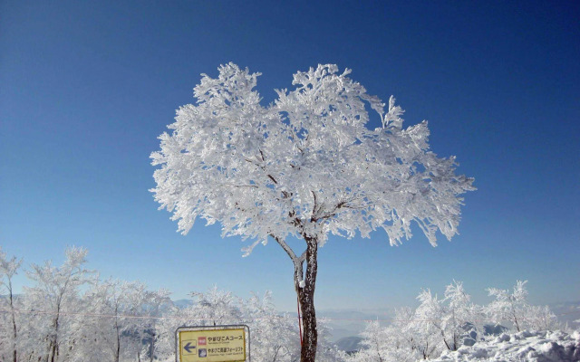 Wafu Pension MIYAZAWA