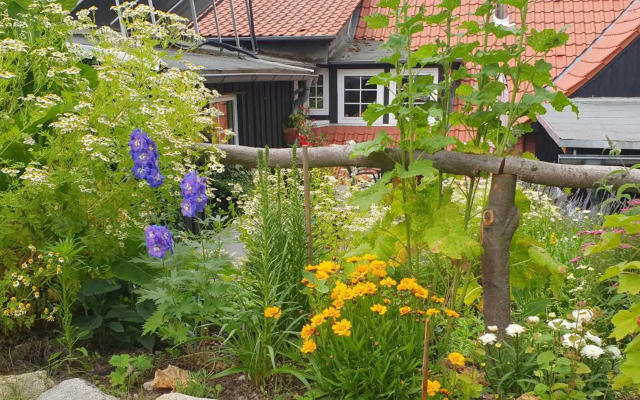 Ferienwohnung Zur Ellernmühle