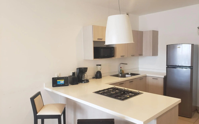 Premium Carso Alameda Luxury Lofts