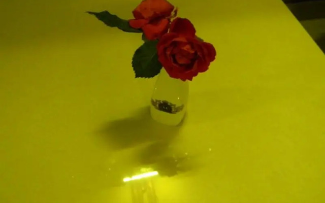 The Mud House Resort