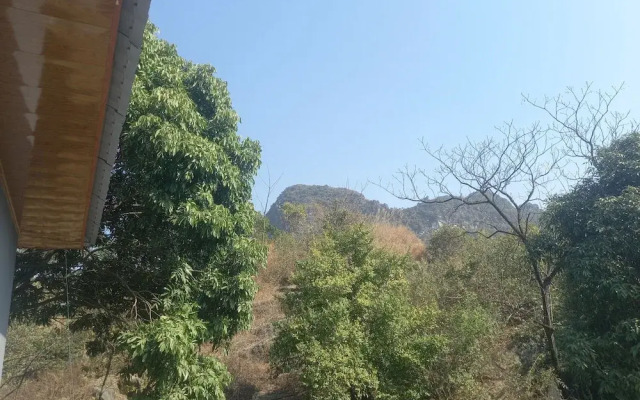 Trang an pristine view homestay