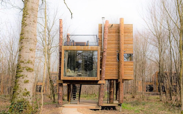 Treeloft Adventure in Nature for 4 People 5