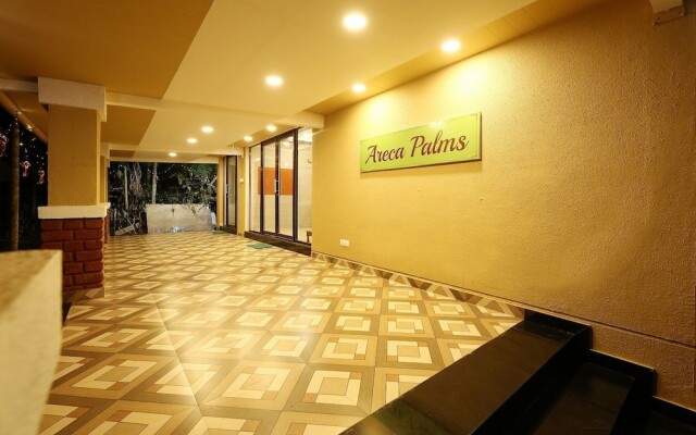 Areca Palms