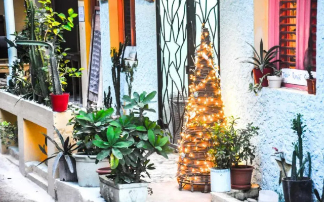 Casa Delfin Guest House