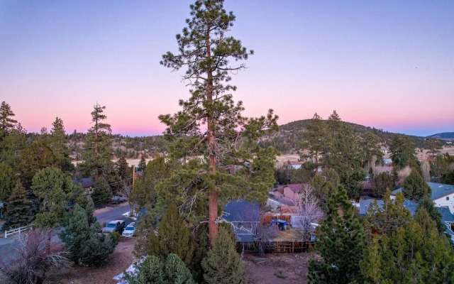 Entertainment Cabin #610