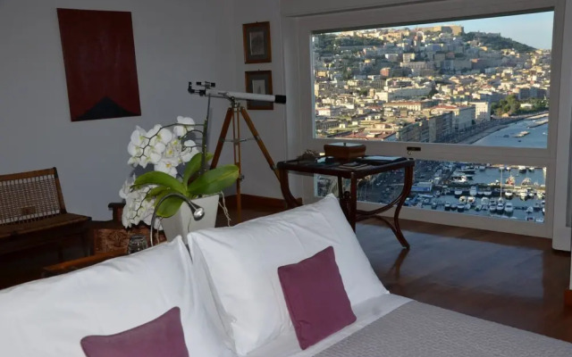 Suite 52