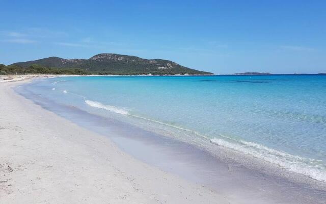 Maison sur Palombaggia