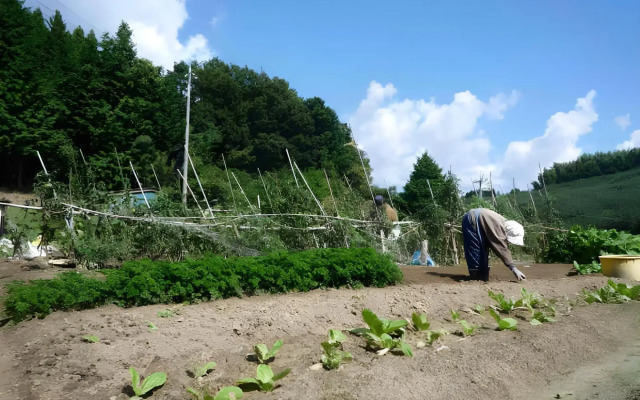 Minshuku Ryokan Miuraya