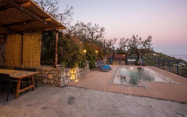 Villa The Phoenix with Private Swimming
