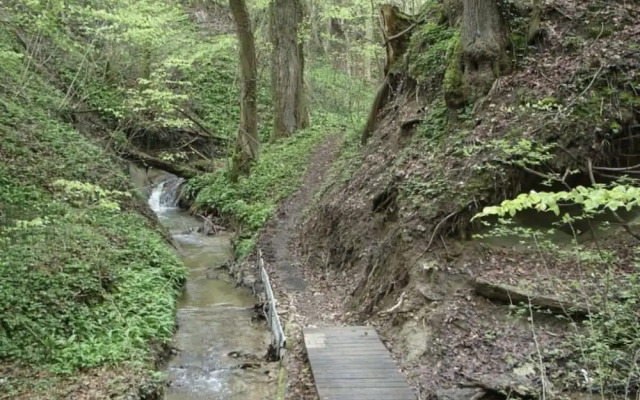 Pleasant Apartment With Terrace