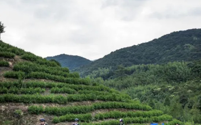 Mengye Moganshan Migong Garden Castle Homestay