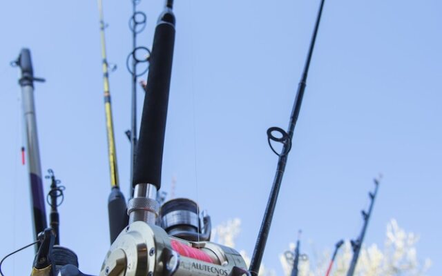 Villa Tresino Flats Santa Maria di Castellabate