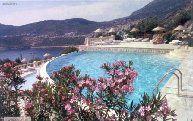 Sea view Bougainvillea 52