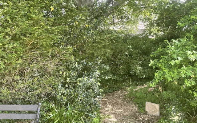 The Mount Somerton