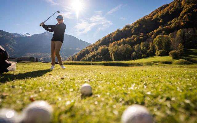 Wasserfall Apartments Mellau