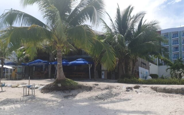 Birdwatchers Beachfront Hotel Panglao