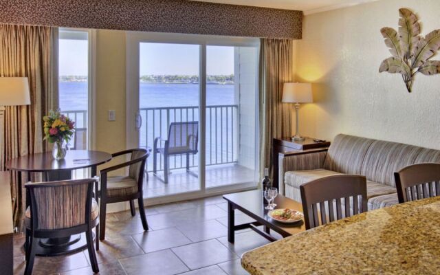 Tampa Waterfront 24281