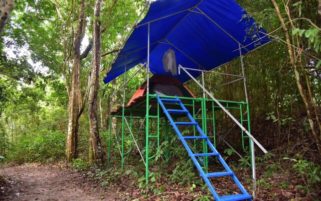 Wichai's Jungle Home Stay