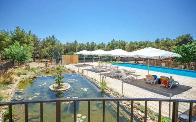 Spacious Park View Room With Breakfast Included