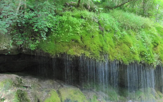 Rötenbacher Wiesen