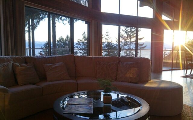 Sunshine Coast Treetop Wonderland