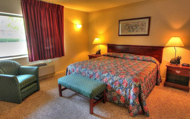 Отель Best Western Johnson's Inn Downtown Gatlinburg