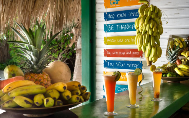Catalonia Royal Bavaro - Adults Only