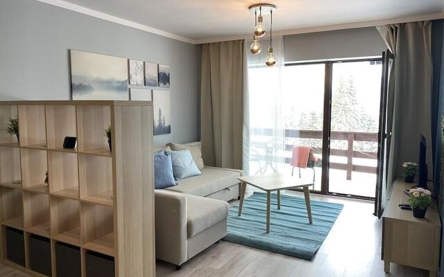 Beautiful and Bright Apartment
